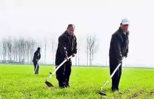 农村种地不挣钱顺口溜大全,现在农民难种地苦的顺口溜