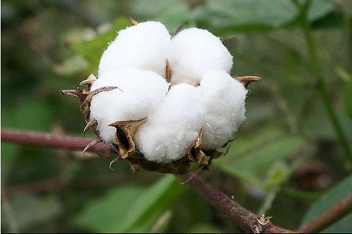 农村种地大实话顺口溜男声版,农村种地顺口溜句句扎心