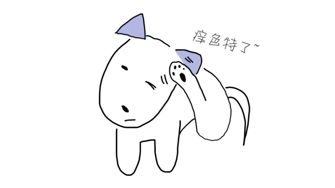 为什么给狗狗洗澡洗跳蚤,怎么解决狗狗身上的狗臭味