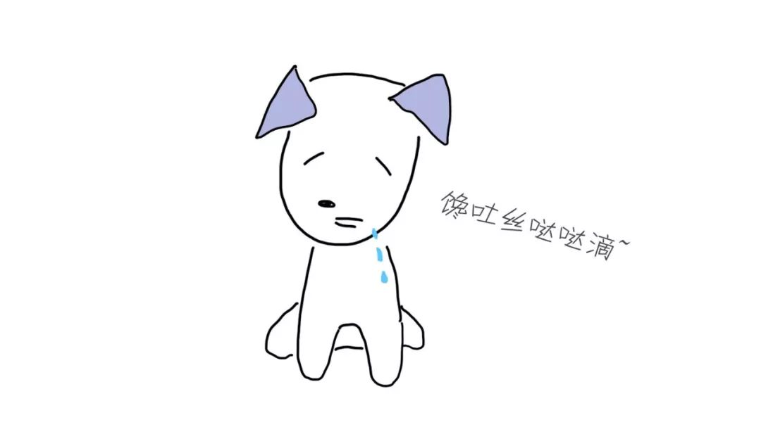 为什么给狗狗洗澡洗跳蚤,怎么解决狗狗身上的狗臭味