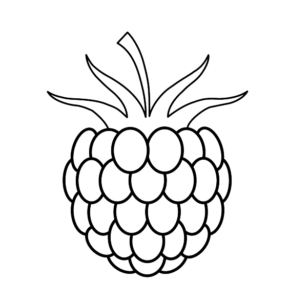 100个水果蔬菜简笔画,各种水果简笔画手稿