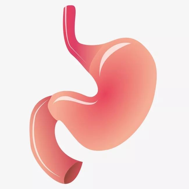 「蔡依憬」肠易激成因的科学猜想