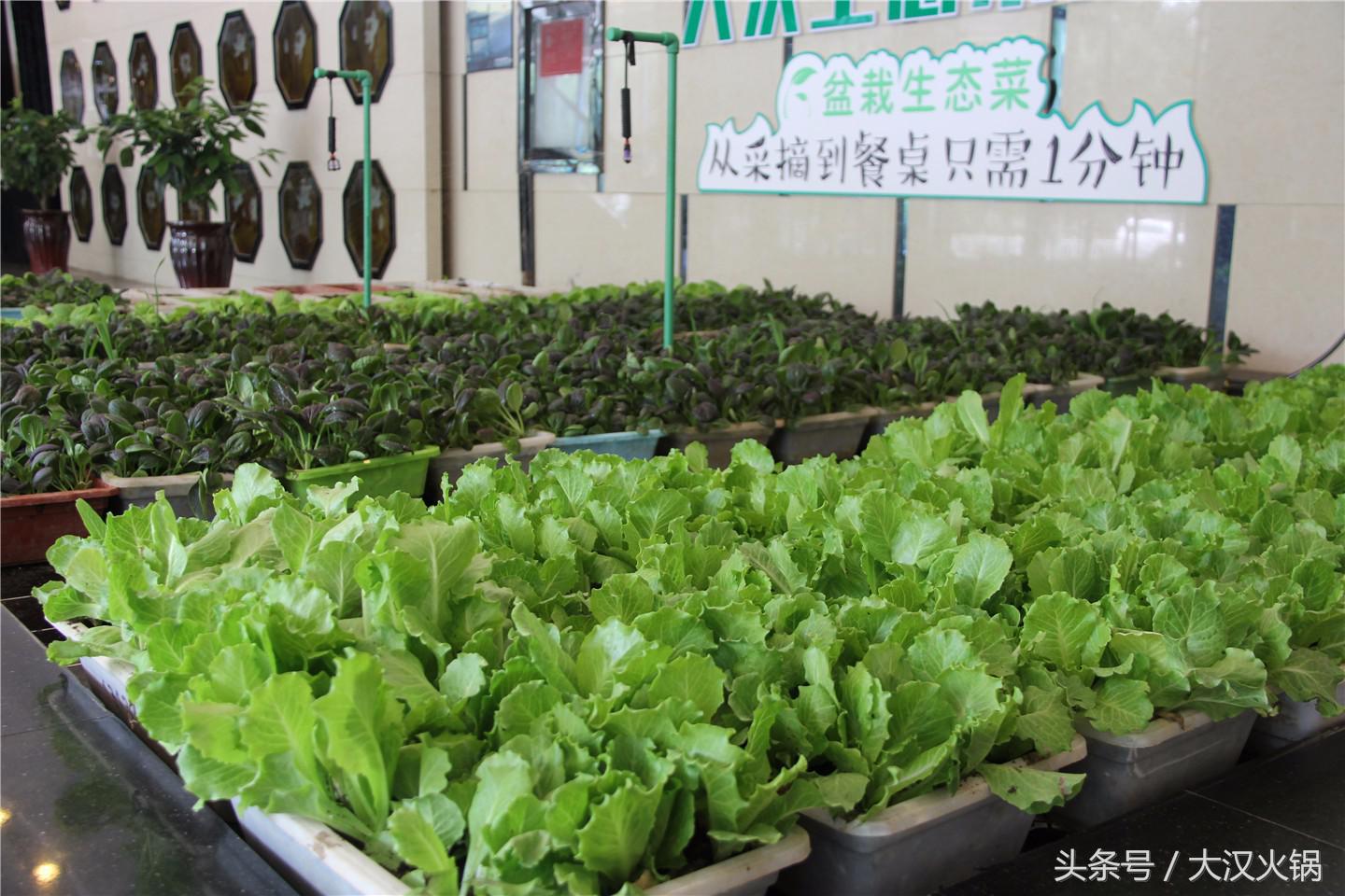 欢迎领导到我市指导工作,欢迎领导到公司参观指导