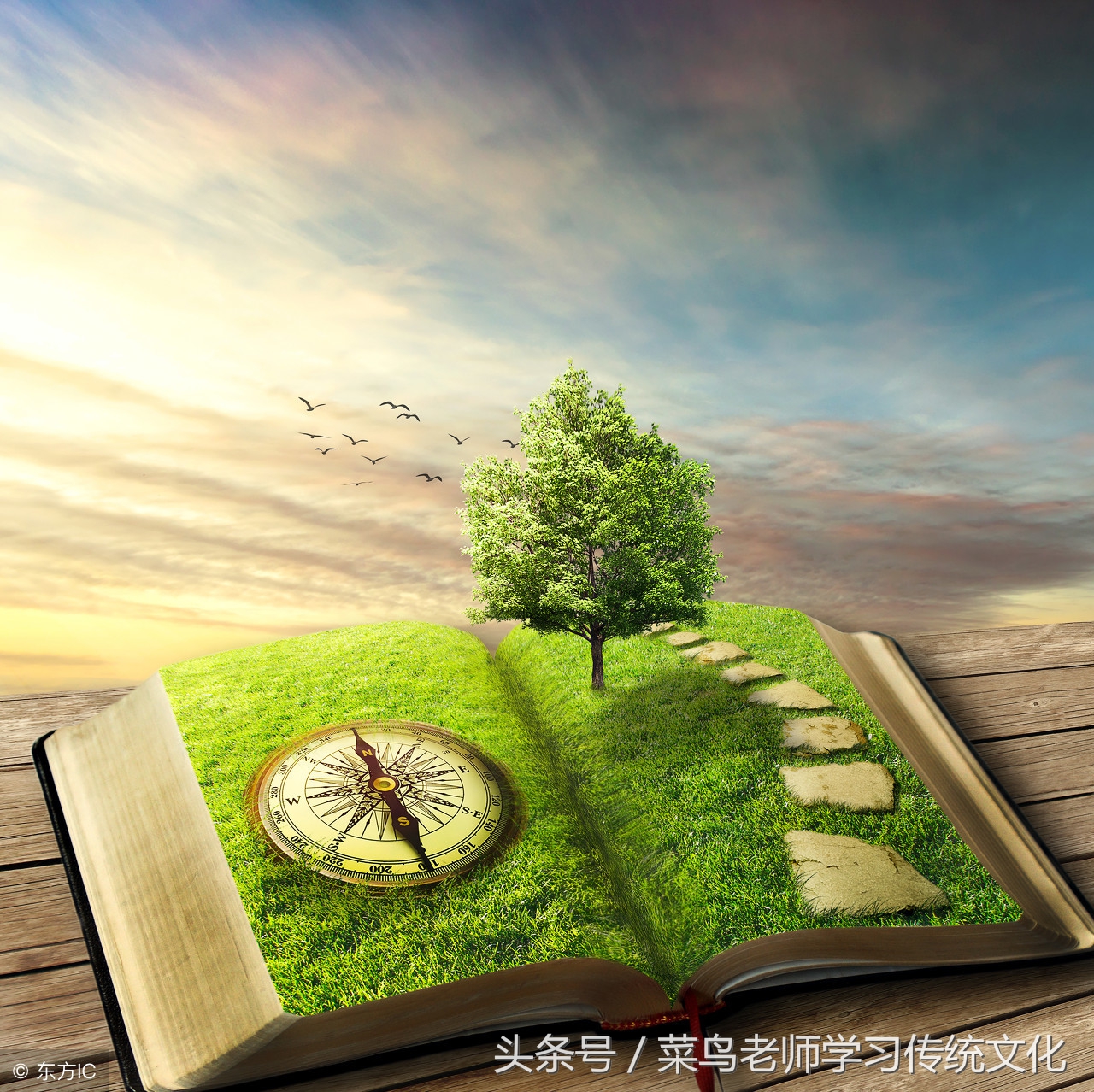 积福行善才能慢慢改善命运,修福积德造命书籍