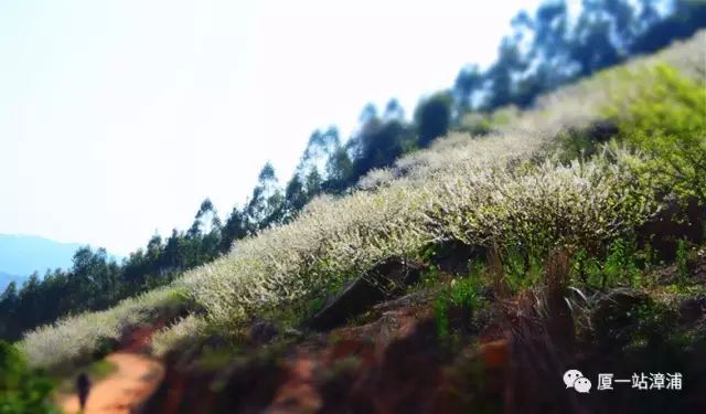 漳浦必去景点,漳浦最出名的地方