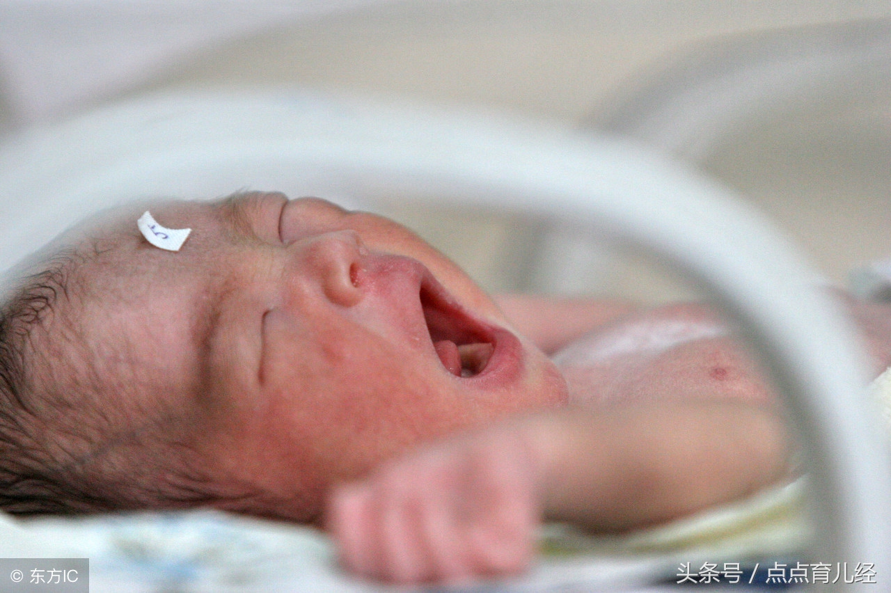 不小心碰到婴儿头顶囟门哭了一下,婴儿不小心磕着我的下巴碰到囟门