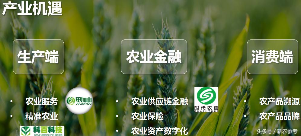 未来农业投资机会,投资农业需要把握的五个关键点