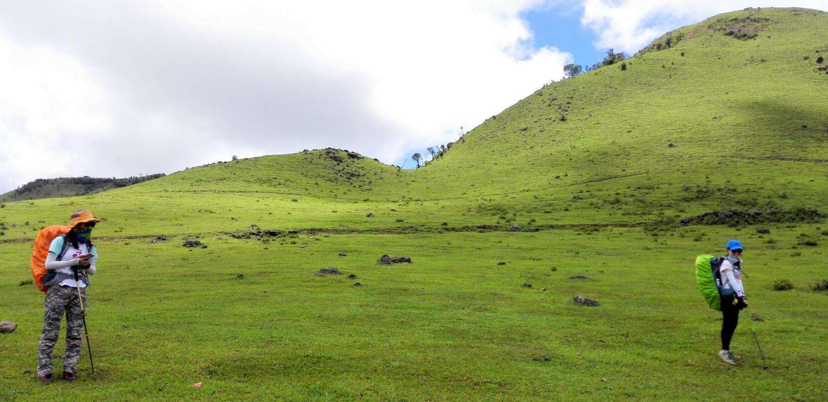 想看大草原是去西藏还是新疆,想看草原去哪里合适