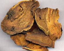 胆囊息肉结石中药治疗,中医治疗胆囊结石最好的中成药