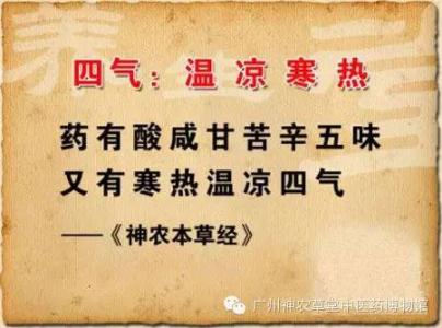 中药药性四百味歌诀视频讲解,四百味药性歌诀全文
