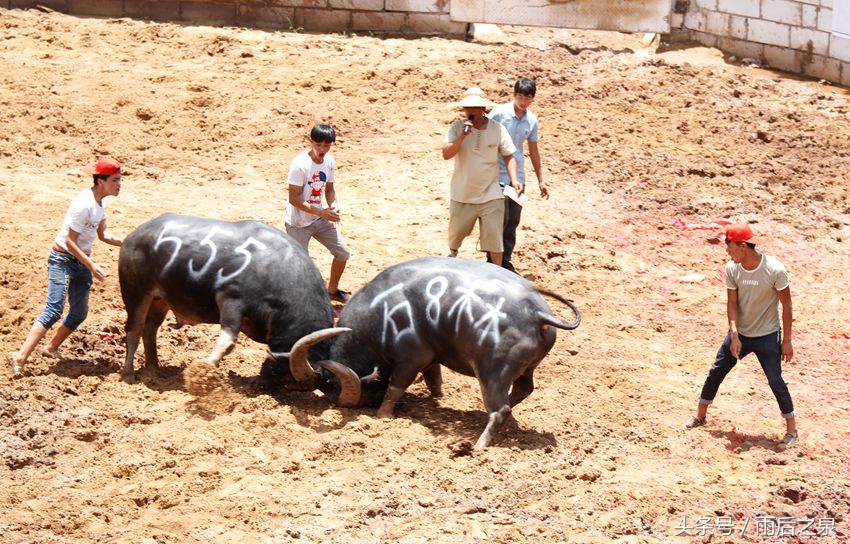 云南火把节狂欢攻略,云南火把节狂欢夜