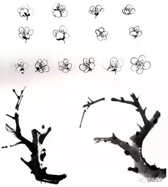 转画教学,中国画零基础入门画梅花