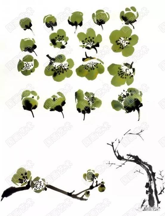 转画教学,中国画零基础入门画梅花