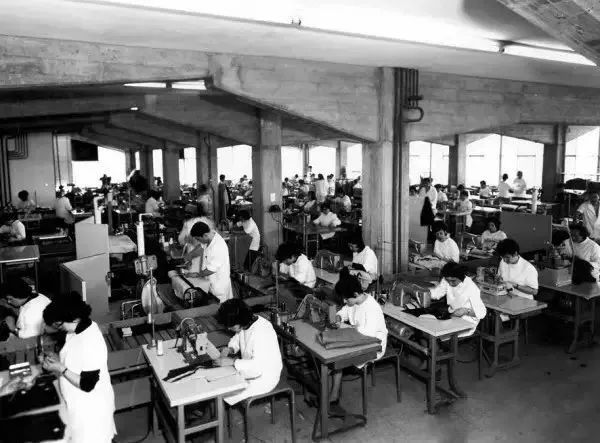 maxmara大衣101801扣子上带标志吗,maxmara大衣101801经典色