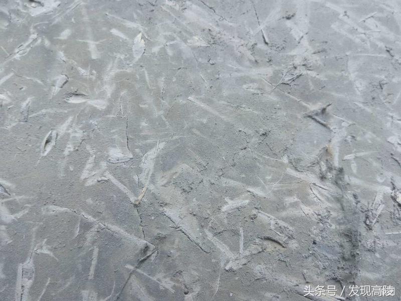 陕西关中六十年代农村土炕照片,记忆中的土炕