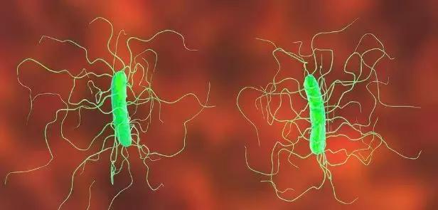 女子被虾刺到导致截肢,被虾扎伤伤口好了按压还是疼