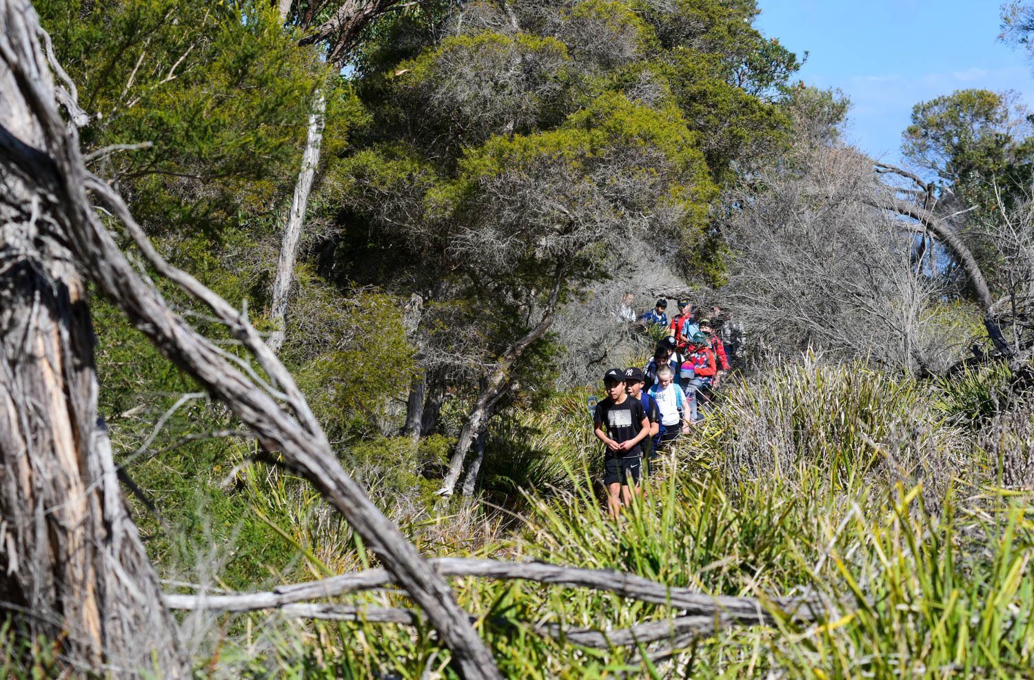 悉尼皇家国家公园图片,悉尼海港国家公园
