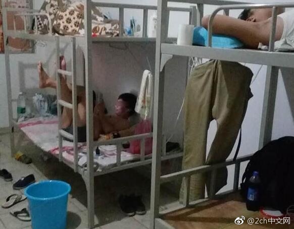 日本对三和大神的评价,三和大神在日本评论