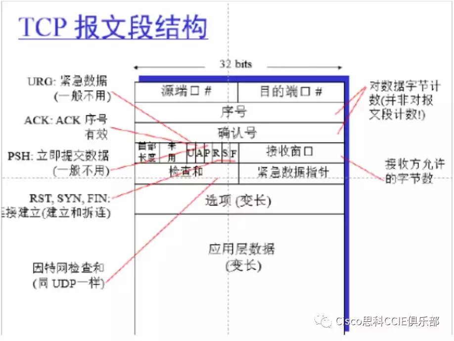 网络基础知识和名词解释,网络技术复习资料