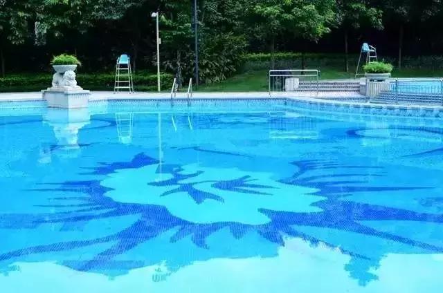 游泳池夏日玩水必备,夏日救星