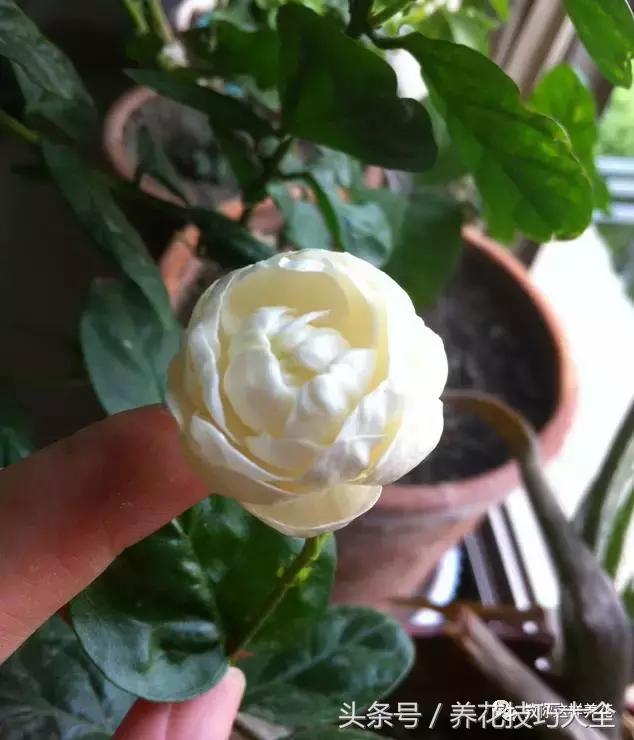 入睡困难也容易醒吃什么助眠药,入睡困难惊醒吃什么助睡眠的药好