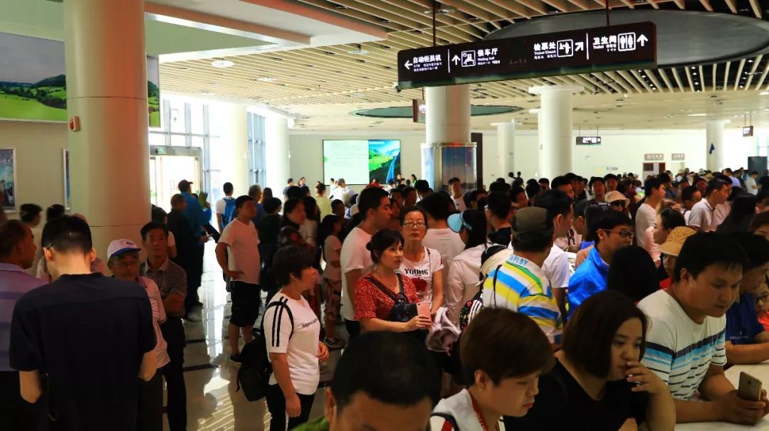 人从众的模式,人从众