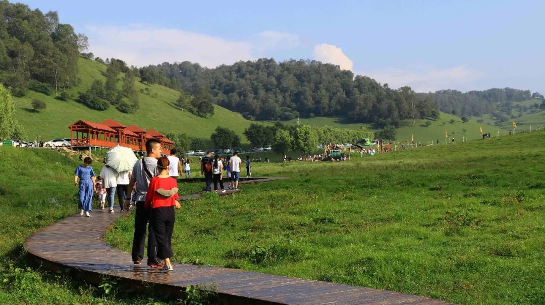 人从众的模式,人从众