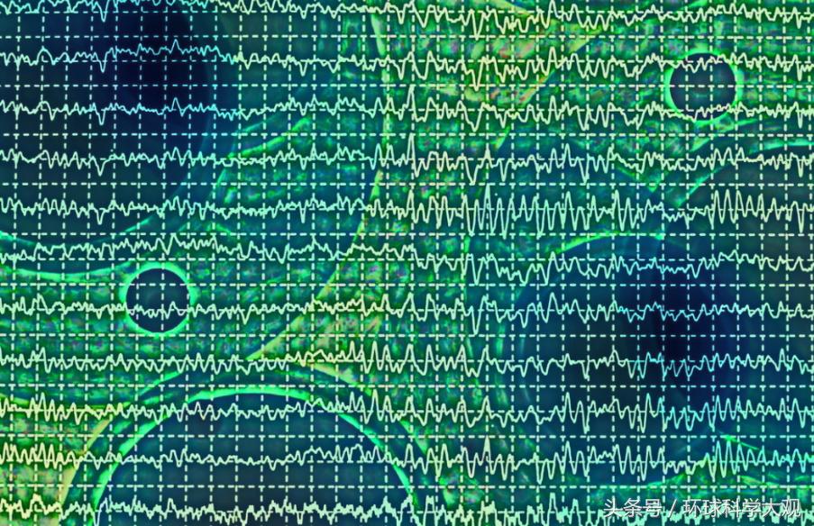 科学家人为什么做梦,科学家对做梦的科学证实