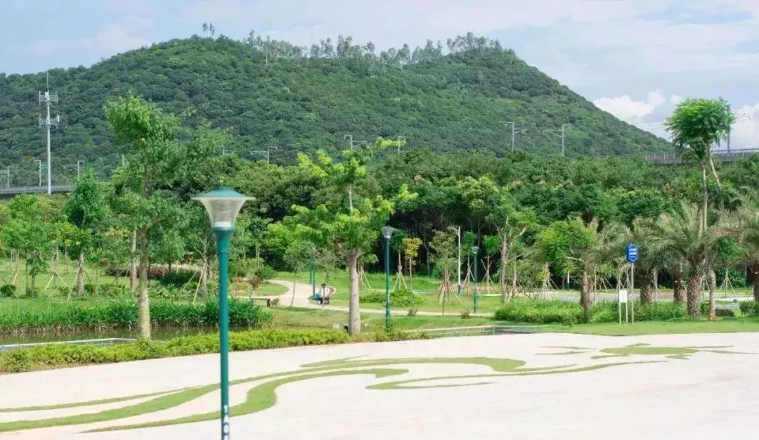 深圳最新的一个超级公园,深圳美景免费景点
