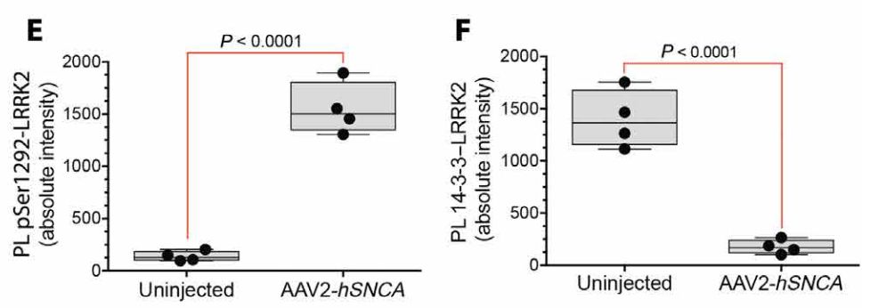 《科学》子刊：科学家首次证实正常的LRRK2基因也会促进帕金森病，90%发病原因不明的患者或许也有救了｜科学大发现