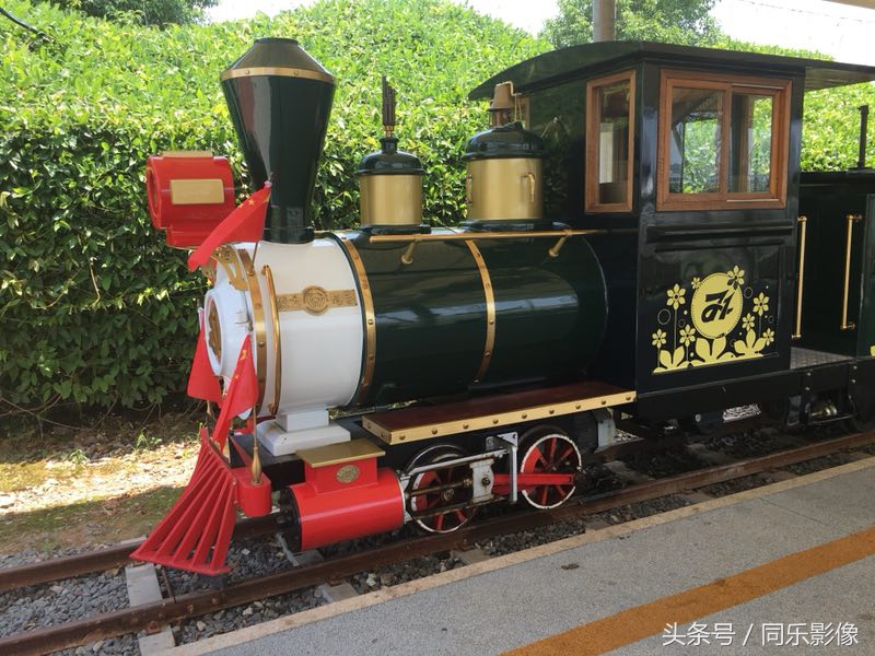 「摄影」义乌的夏日乐园