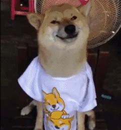 深圳足球公园免费开放,深圳新的草地公园