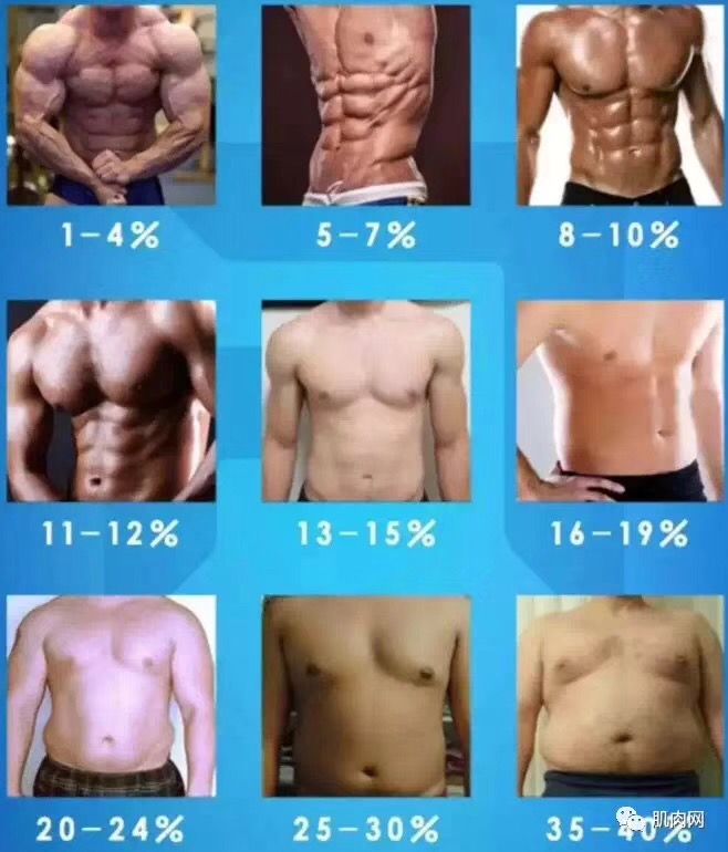 器械腹肌训练方法30天八块腹肌,器械腹肌训练方法7天八块腹肌