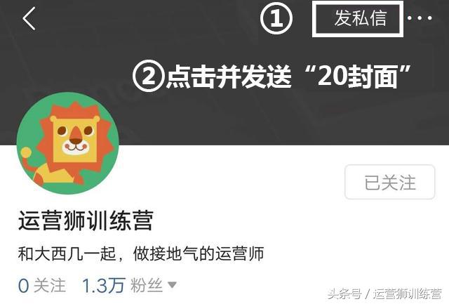 简历模板word免费版简约风,实用职场写作模板图片高清