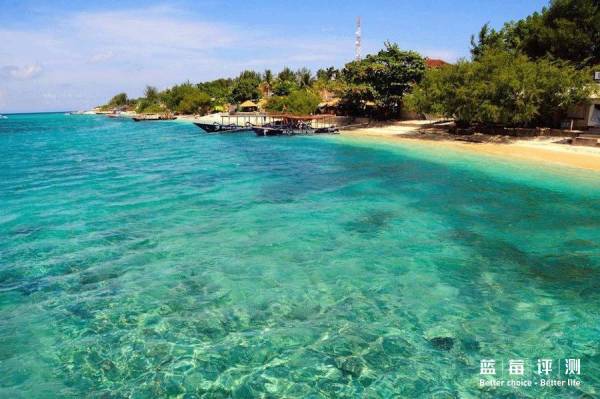 蓝莓评测｜全球60个海岛评测，假期选岛就看这一篇（上）