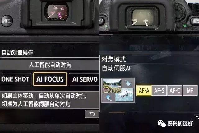 怎样对焦最清晰,怎样正确对焦和曝光