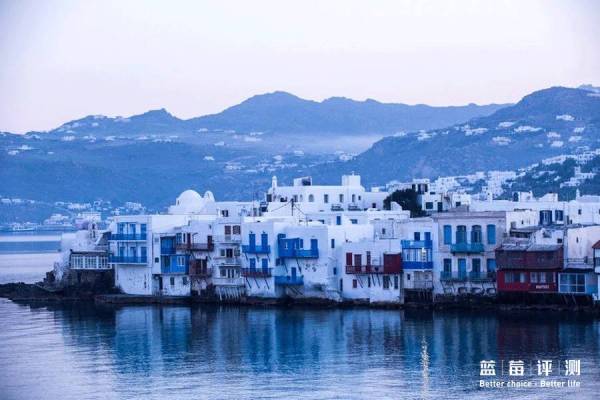 蓝莓评测美国蓝莓,蓝莓评测