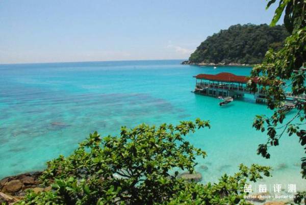 蓝莓评测美国蓝莓,蓝莓评测