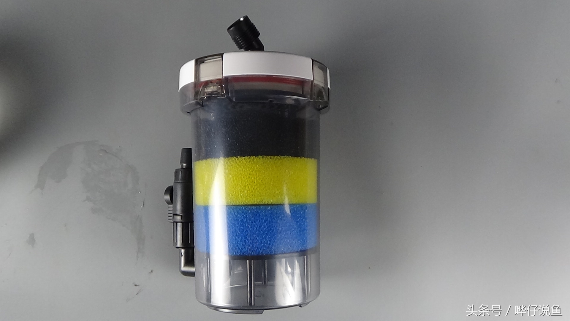 宠物鱼缸用什么过滤好,鱼缸养什么东西可以代替过滤器