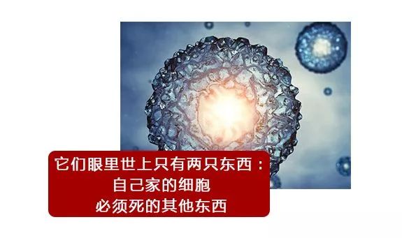一直以为自己是跑得最快的那颗精子，原来并不是……