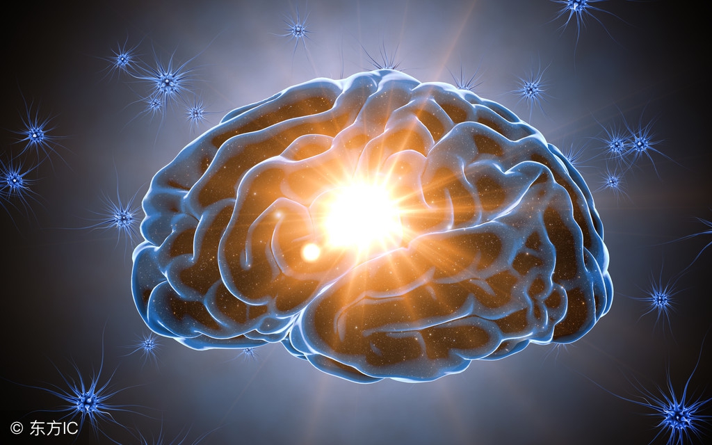 年纪越大越不记事,年纪越大越不爱动弹