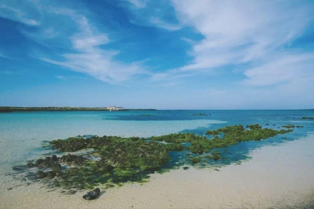 济州岛出游攻略视频大全,济州岛旅行避坑攻略最新