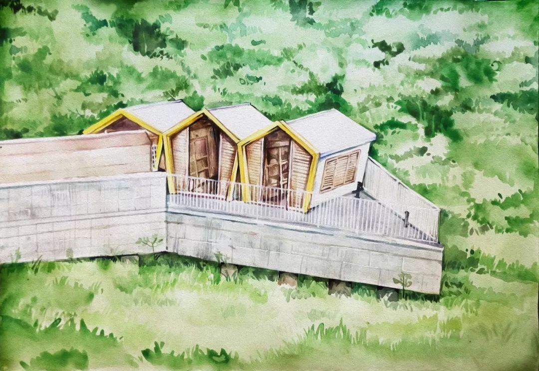 济州岛出游攻略视频大全,济州岛旅行避坑攻略最新