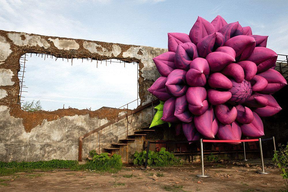 济州岛离岛游玩攻略,济州岛自驾游vlog攻略