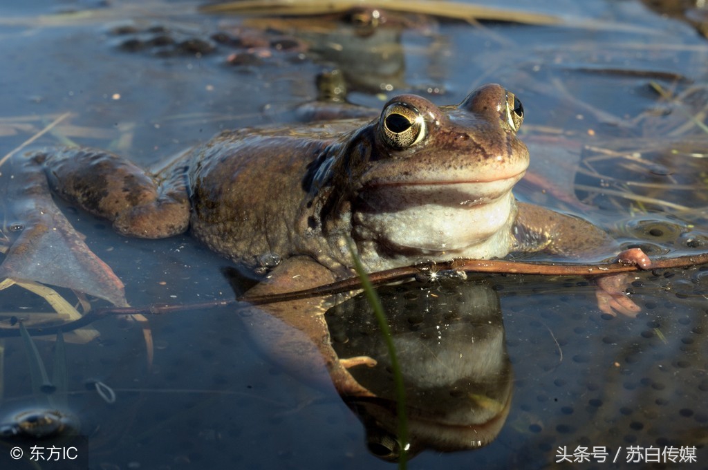 「杂谈」富士康里的员工为什么跳楼自杀？