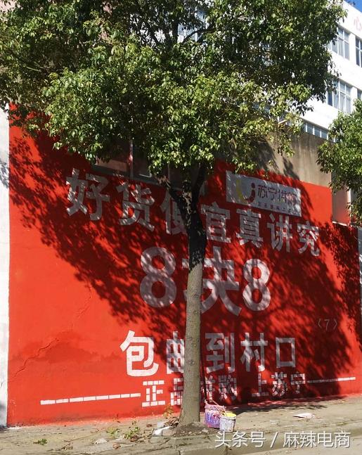 苏宁限时8.8元拼购,还在迷恋冬虫夏草吗