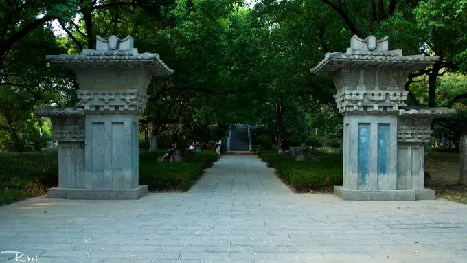 盛夏霸都合肥，漫步城市，像当地人一样生活