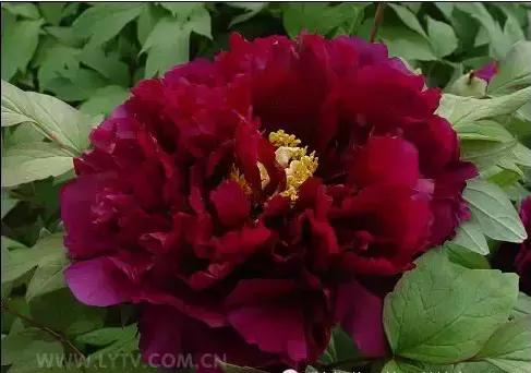 8.8发财日的祝福,8月18日发财日早安祝福图片