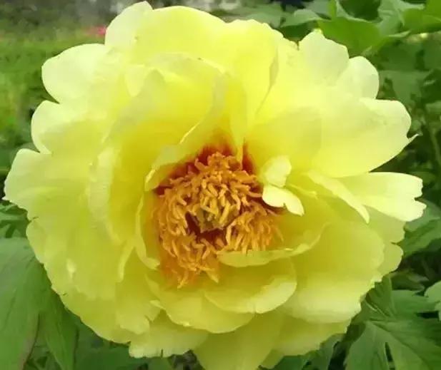 8.8发财日的祝福,8月18日发财日早安祝福图片