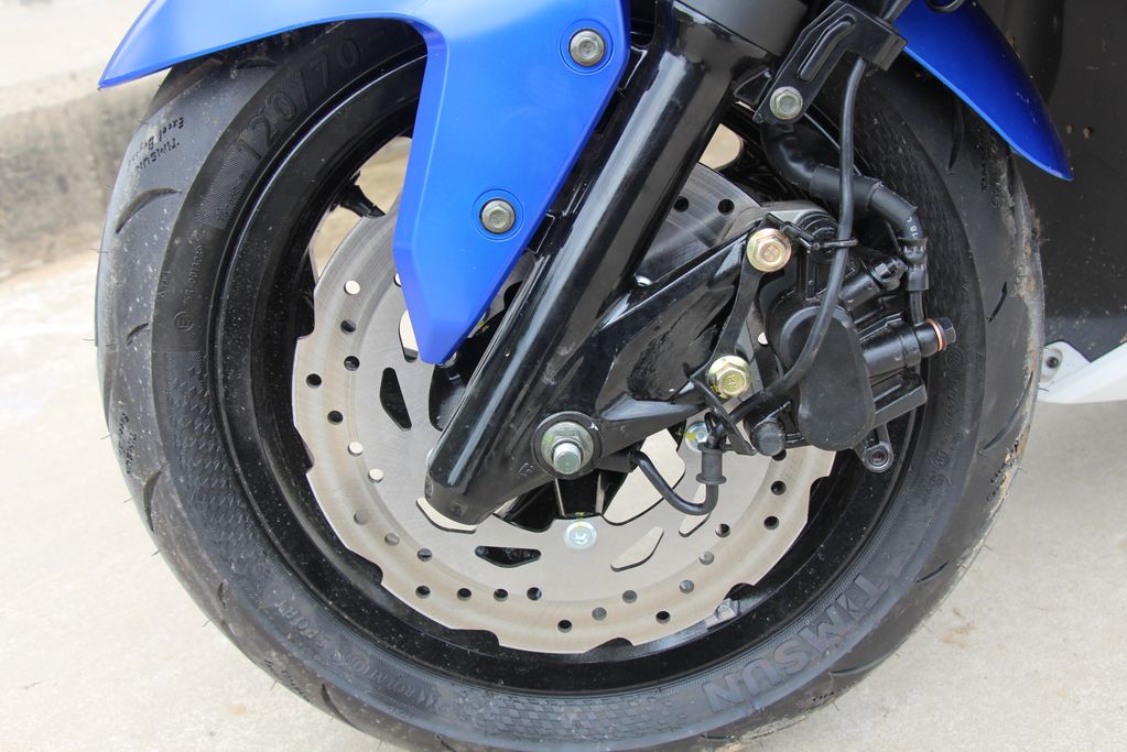 高颜值蚂蚱,漂亮巨型蚂蚱